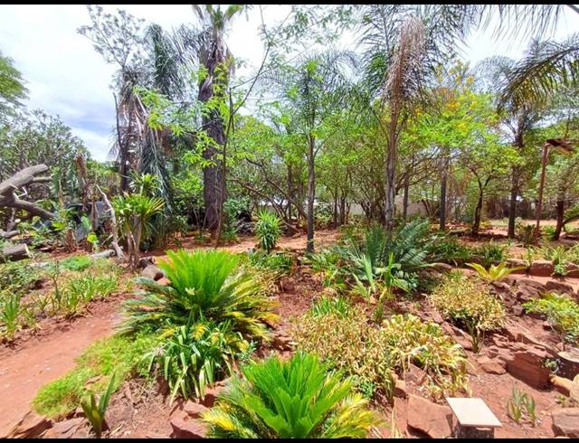 FARM FOR SALE IN SYFERFONTEIN